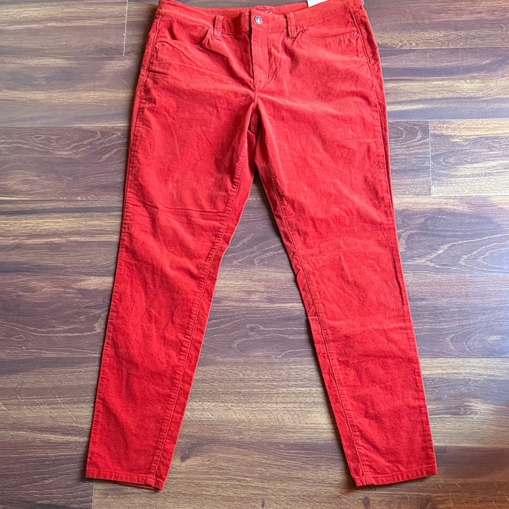 LOFT Super Skinny Leg Pants Size 31/12